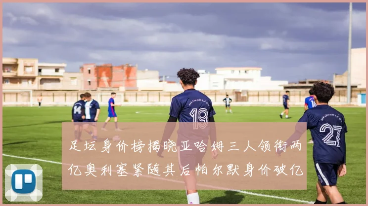 足坛身价榜揭晓亚哈姆三人领衔两亿奥利塞紧随其后帕尔默身价破亿